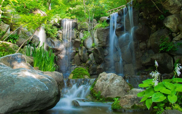 nature tree Forest waterfa Waterfall Live Wallpape 2k