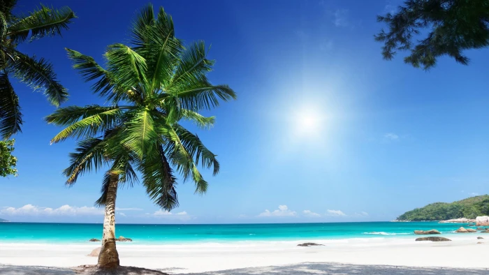 summer blue sky tropical exotic holiday beach white sand 2k 4k