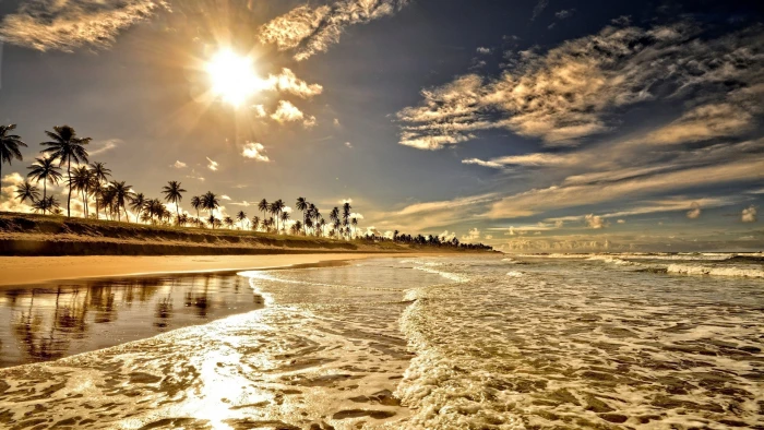 beach sky water beauty in nature sunlight tree tropical climate 2k