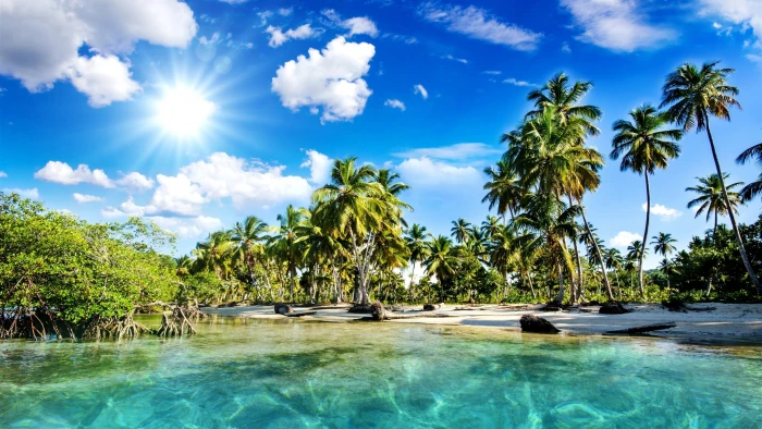 Beautiful scenery tropics beach palm trees sea sunlight 2k