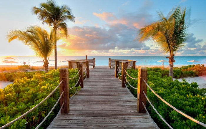 brown wooden port sunset path island beach palm trees tropical climate 2k