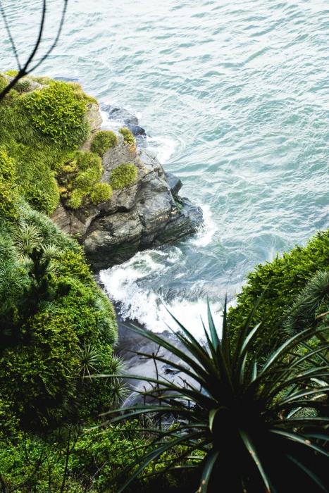 Cerro Pompom beach River mouth landscape vertical