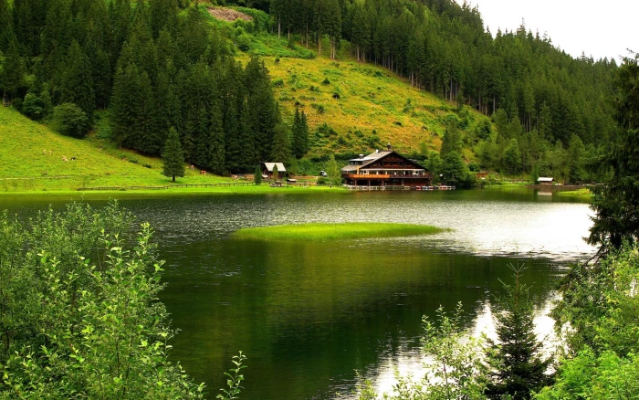 Nature scenery mountains trees river house green 2k