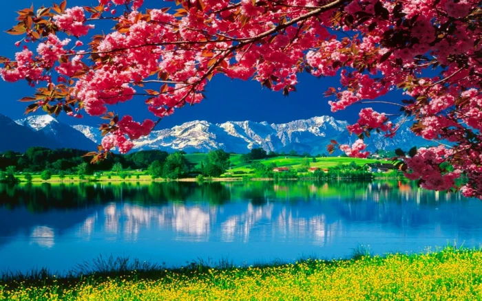 Nature Wallpaper Daydreaming 2k