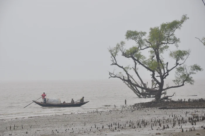 people on boat raft going near tree at cloudy day sky Sea Sundarban 2k 4k