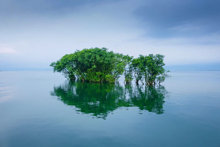 river trees nature water landscape lake forest outdoors 2k 4k 5k