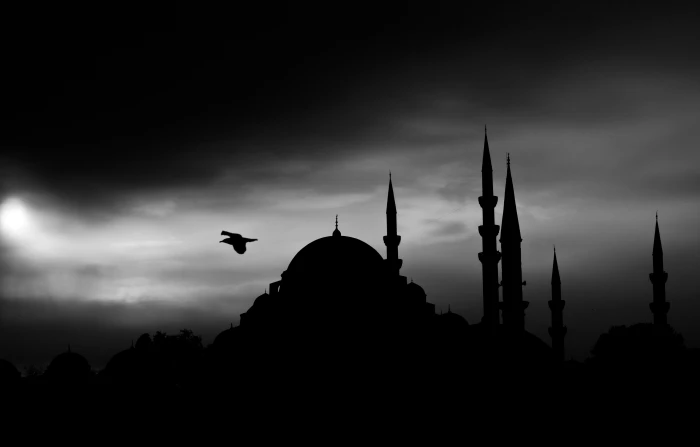 silhouette of bird over dome building cami minaret istanbul 2k 4k 5k