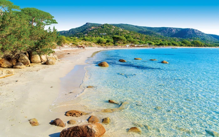 Sun And Turquoise Sea Gorgeous Sand Beach Palombaggia In Corsica Island France Full Hd Wqllpaper 2k