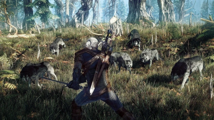 The Witcher 3 Wild Hunt 2k