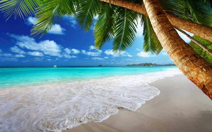 Tropical paradise on beach coast Sea blue emerald Ocean 2k