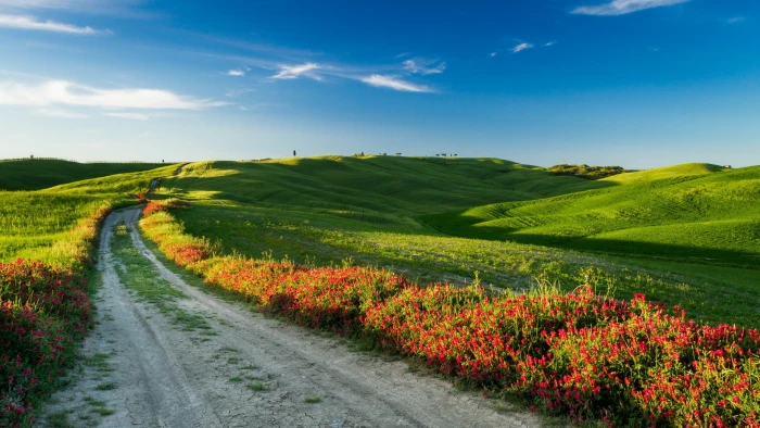 Tuscany Italy nature landscape fields road flowers 2k