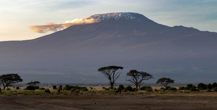 africa kenya amboseli national park safari wilderness landscape 2k 4k 5k