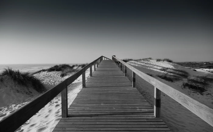 Beach Boardwalk Black and White Grass Photography Sand Outdoor 2k 4k 5k