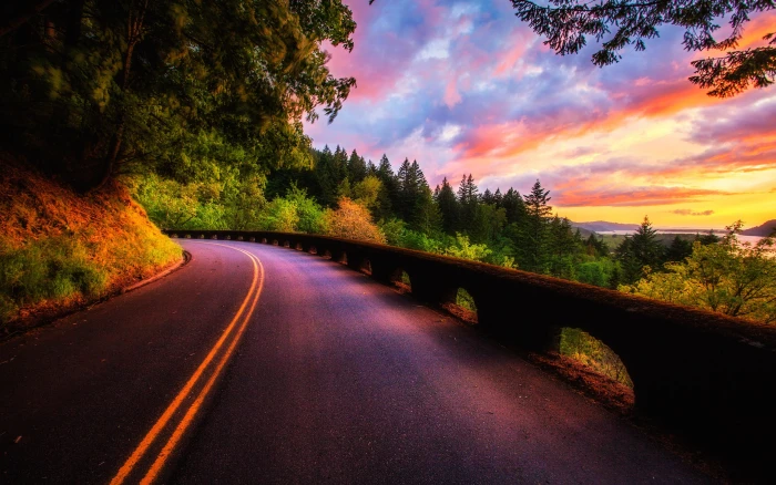 Beautiful sunset scenery forest trees road clouds colors 2k