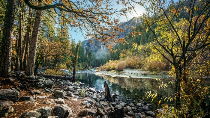 brown and yellow leaf trees near body of water yosemite national park california 2k