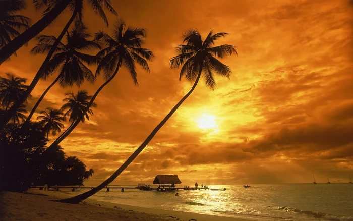 Costa Rica Sunset Red Sky Sandy Beach Palm Hd Desktop Wallpaper High Quality Resolution 2k 4k