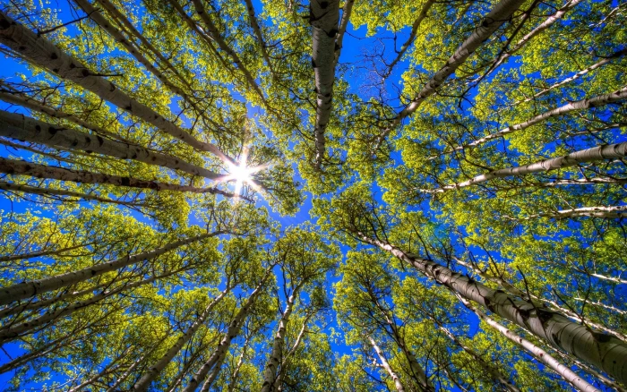 desktop full screen nature pictures 2k