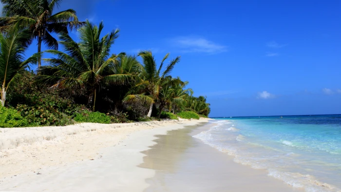 Flamenco Beach Culebra Puerto Rico palms Best beaches of 2k 4k
