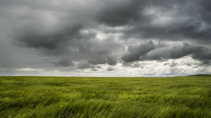 green grass field under gray sky Agua mayo lluvia clouds 2k 4k