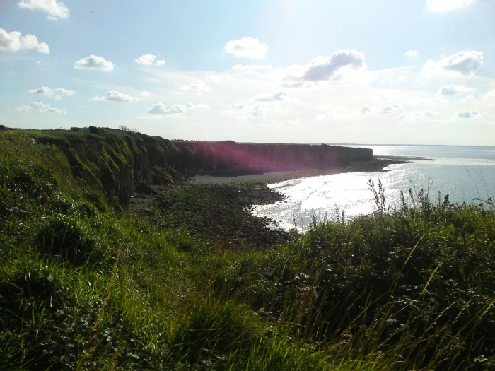 green grass field landscape Omaha Beach plant beauty in nature 2k