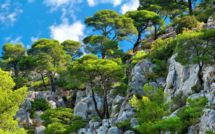 green trees nature landscape clouds mountains cliff shrubs 2k