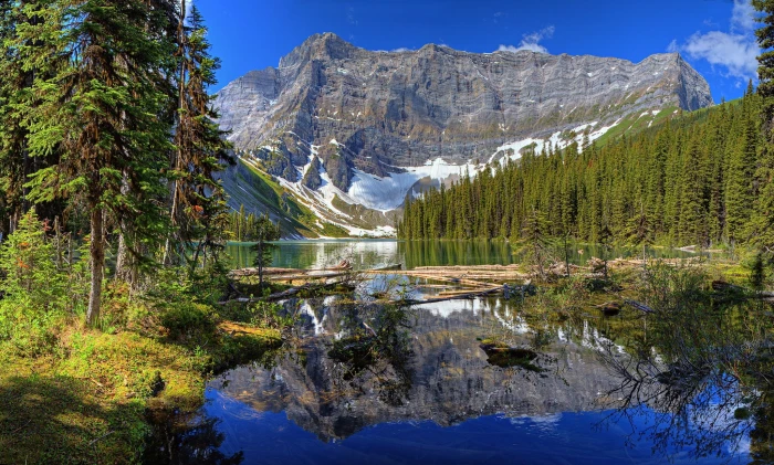 green trees nature landscape mountains river pine 2k
