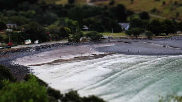 green trees seawaves near at daytime beach tilt shift 2k 4k 5k