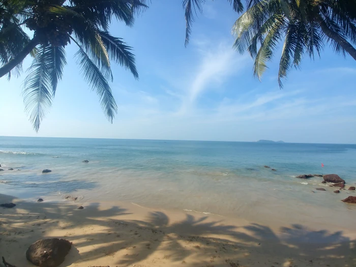 india goa sea cocnuts beach sand water sky beauty in nature 2k 4k