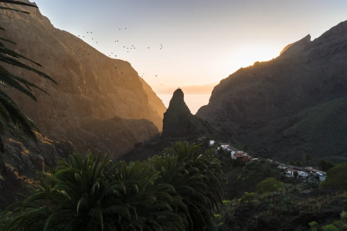 masca canary islands spain travel sunset tenerife birds 2k 4k 5k