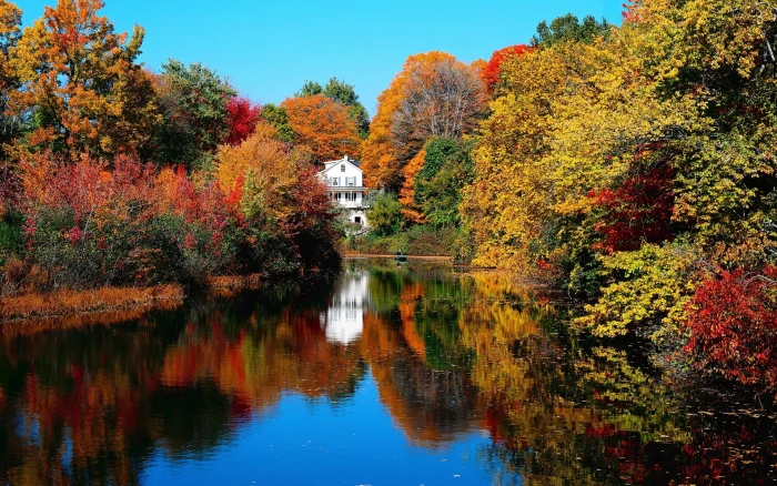 nature tree lake house fall autumn sky 2k