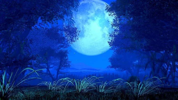 nature moon full tree landscape night sky time 2k 4k