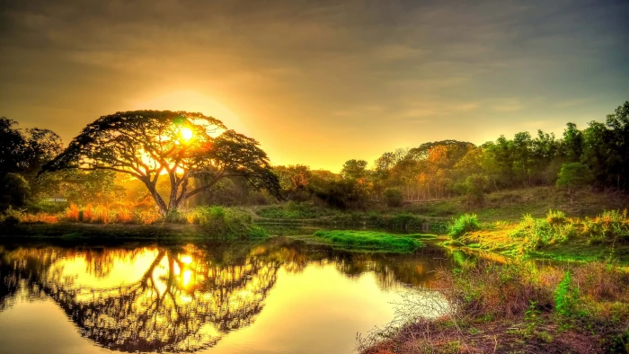 nature sun sky sunset clouds landscape sunrise horizon 2k 4k