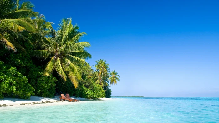 palm trees sea sky beach sunbed water tropical climate 2k 4k