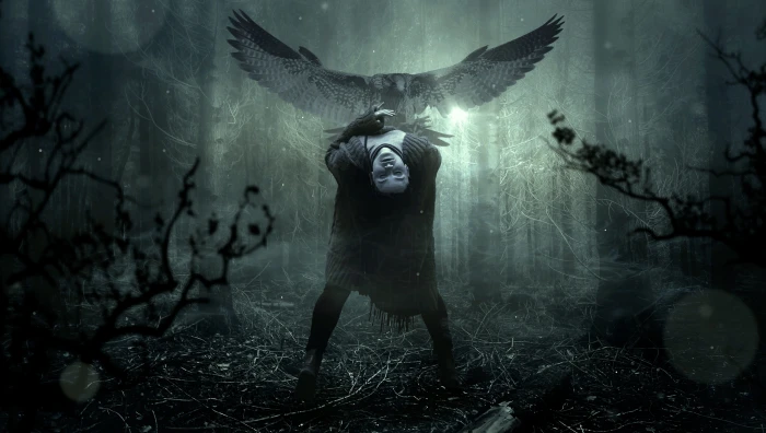person bending its body near bird digital wallpaper fantasy 2k 4k 5k