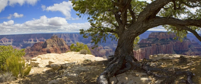 photo of Death Valley California during daytime grand canyon national park 2k