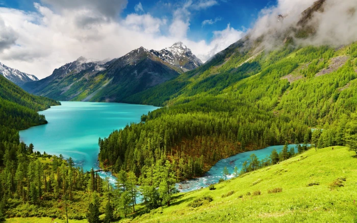 photo of green trees and body water nature landscape mountains 2k
