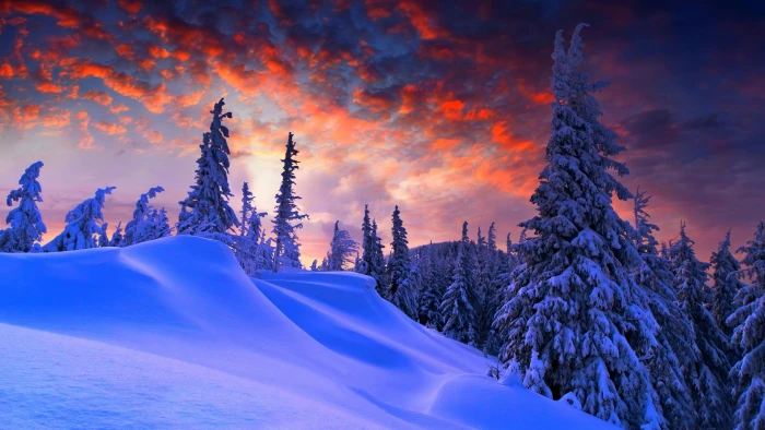 slop pines fir mount scenery cloud pine tree pink sky 2k 4k