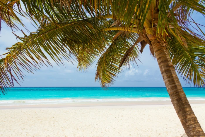 teal water beach near white sand beautiful blue coast landscape 2k