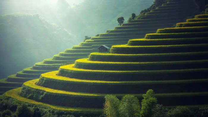 terraces culture fields yuanyang yunnan china asia ailao 2k 4k