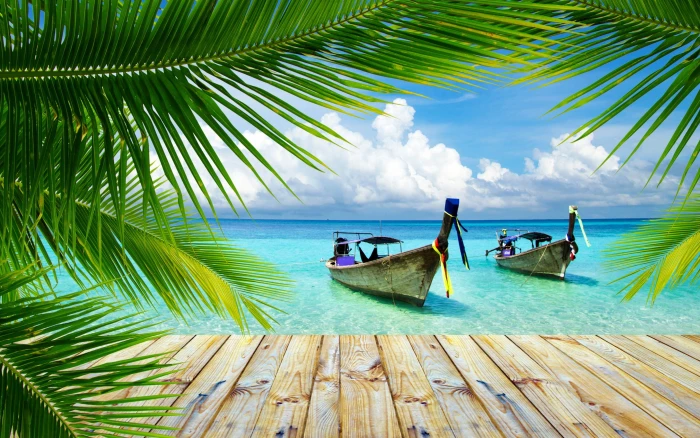 two brown boats nature landscape beach tropical palm trees 2k