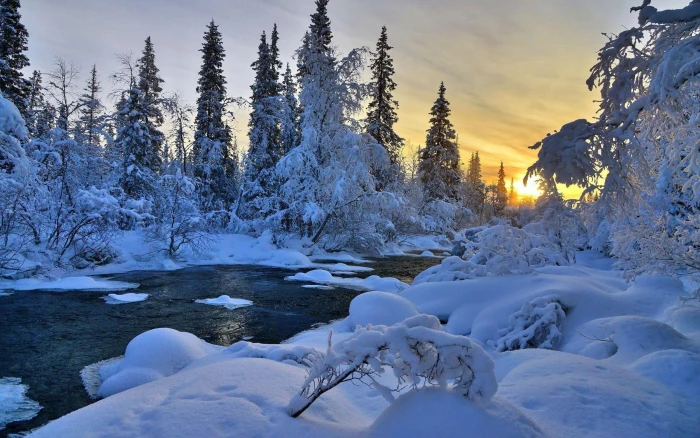 Winter River Nature Trees Landscape Hd Wallpaper 2k