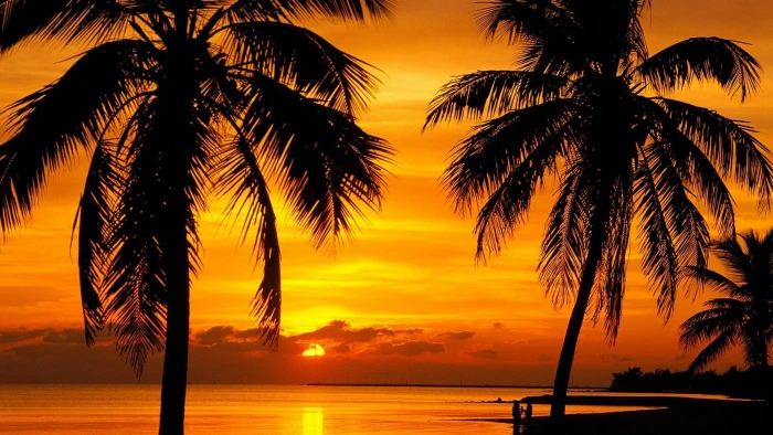 Beach florida key sunset 2k 4k