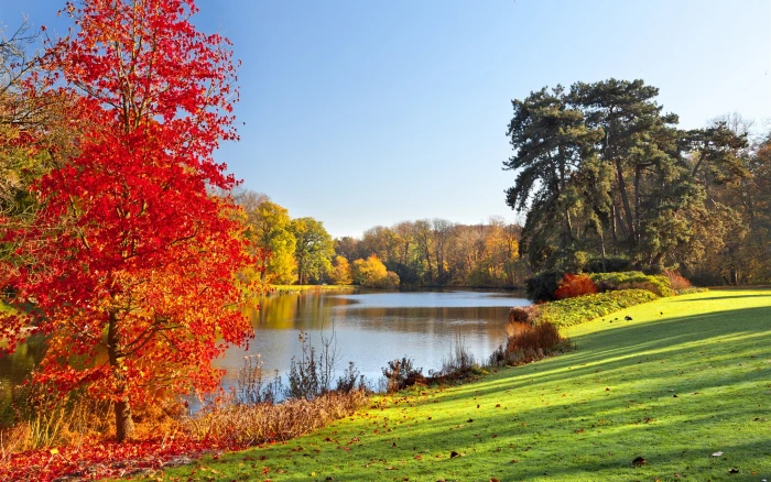 Autumn park lake trees leaves nature scenery 2k