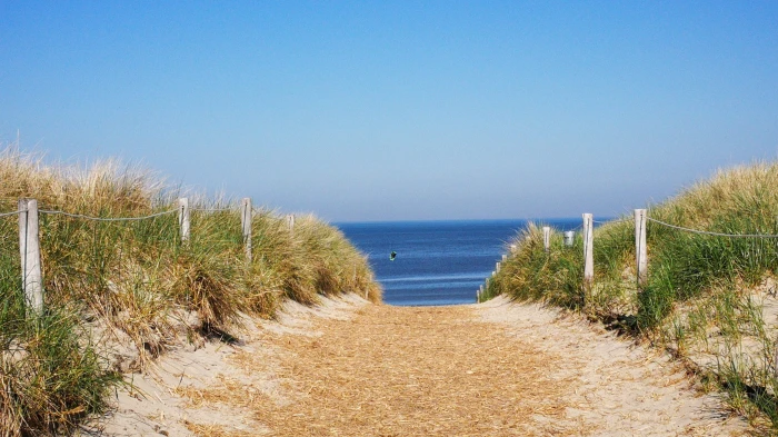 beach access texel dunes sea idyll sky water footpath 2k 4k