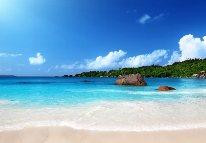 body of water near green forest beach sky sea land scenics nature 2k 4k 5k