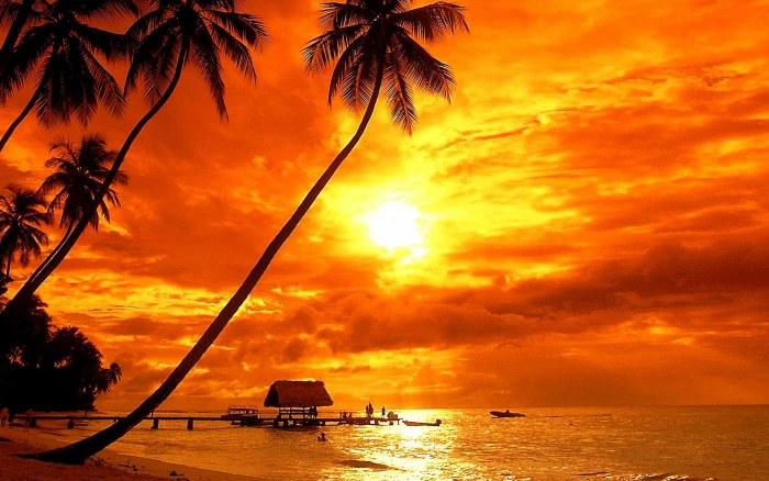 Bora Tropical Sunset Beach Palm Trees Red Sky Clouds Ultra Hd Wallpaper For Desktop Laptop Tablet Mobile Phones And Tv 2k 4k