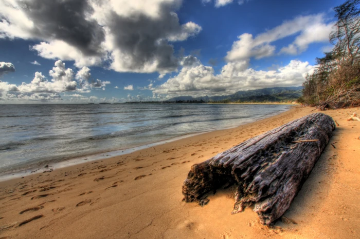 brown Beach sand Cast Away oahu north shore State Recreation Area 2k 4k
