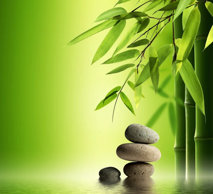 green bamboo grass water stones spa zen like balance 2k 4k 5k