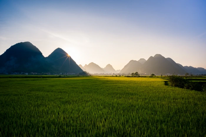 green grass field near mountain at sunrise sa pa occupational rehabilitation viet nam 2k 4k 5k