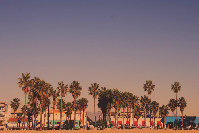 los angeles united states venice beach trees landscape 2k